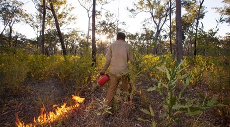 Cool Fire Traditional Land Management, Australia