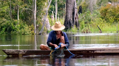 Katingan Peatlands Conservation, Indonesia