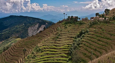 Efficient cookstoves, Nepal