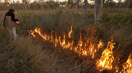 Sustainable savanna burning on Tiwi Islands, Australia